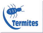 diagnostic termites Menton